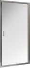Душевые двери BLDP2-100, раздвижные двухэлементные,  профиль сатин, стекло Grape  ZZ