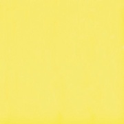 Flexi A Yellow Mat (п.п.) ZZ |30x30 товар
