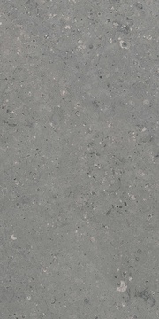 Arkaim Grey G213/Аркаим серый мат .60x120