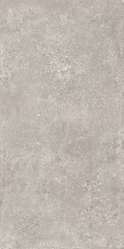 Гранит Перла серый MR матовый |60x120