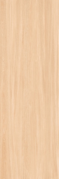 Legno Venezia (L-Wood) FAGGIO 5,6 mm XXZZ |100x300