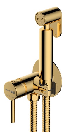 Гигиенический душ со смесителем, внутренняя часть в компл., глянцевое золото PVD, ZZ